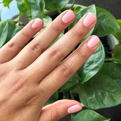 Saltwater Taffy - Gel