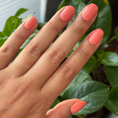 Frolic | Extra Short | Round - Tab Press-On